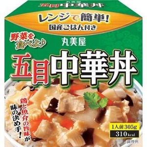 250MRｺﾞﾓｸﾁｭｳｶﾄﾞﾝ